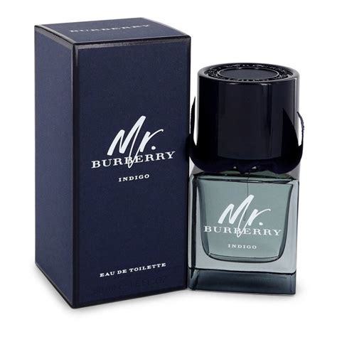 mr. burberry element burberry|mr burberry indigo 50ml.